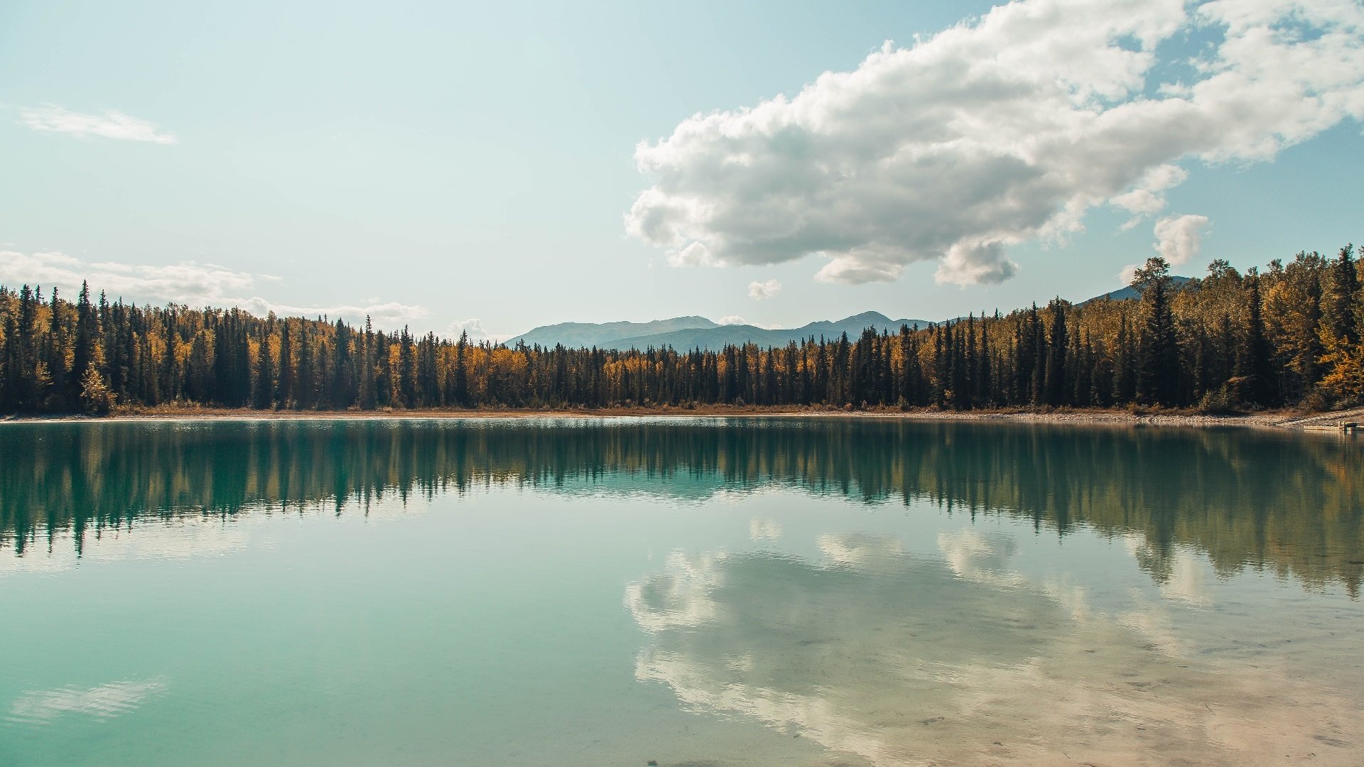 羽翼为刃，当黄鸭组合成为中韩对决的破壁者