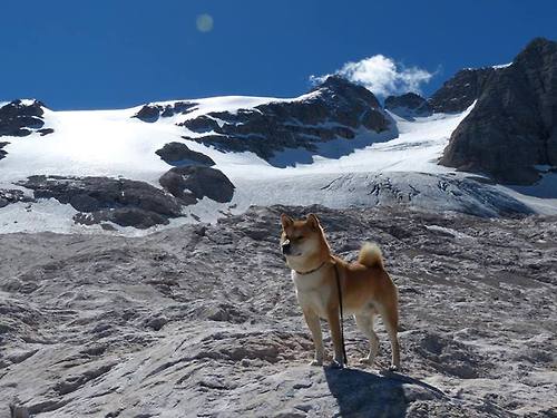 跨界对决唯一性,当深圳男篮遇见勇士,霍勒迪的东方时刻