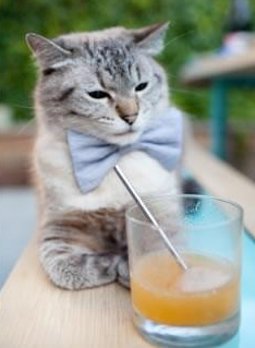 赛场迷思，当塔图姆的里程碑遭遇写错名字的夜晚