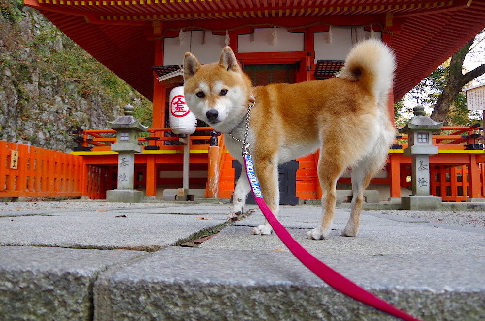 舞台的尺度，当灰熊咆哮遇见浙江浪潮，与伦纳德式的大场面基因