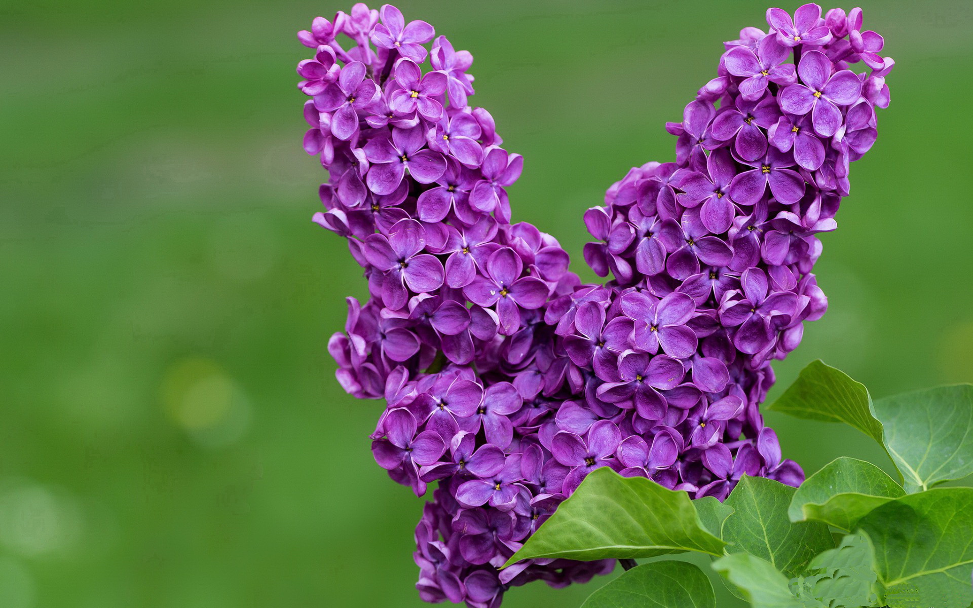 西决生死战之夜,班凯罗,于狂沙中升起自己的星辰