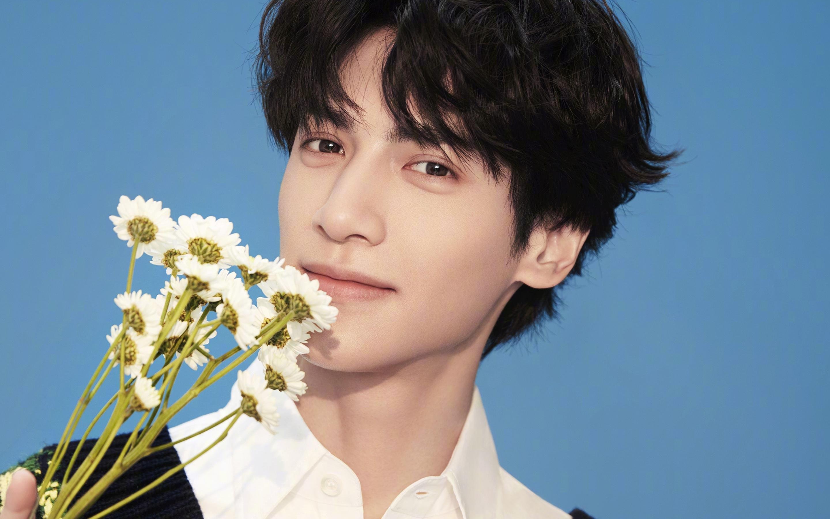 草根与巨兽,霍勒迪的利刃如何嵌入公牛的碾压齿轮?