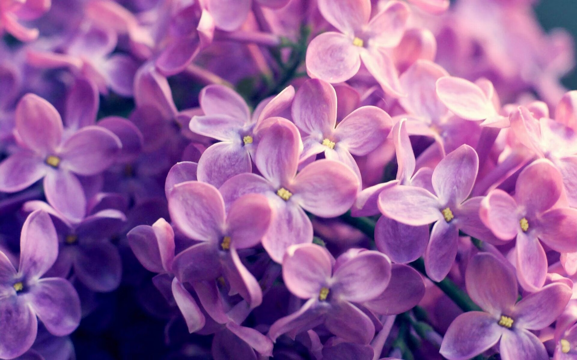 抢七夜，贝林厄姆改写的剧本，德国如何用一场非典型胜利终结威尔士神话