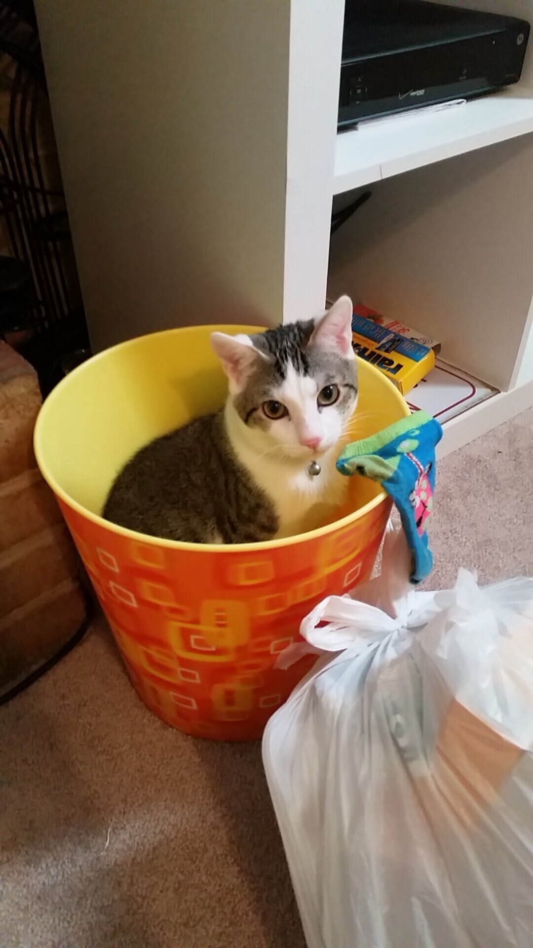 死神,今夜再度挥镰