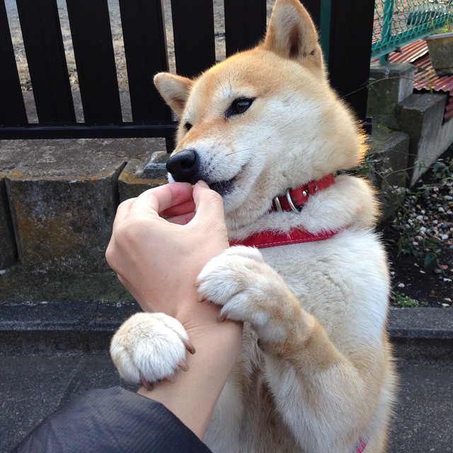 死神,今夜再度挥镰