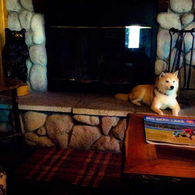 秒杀悬念！马克西数据核爆震退湖人，步行者扼杀紫金军团于未萌