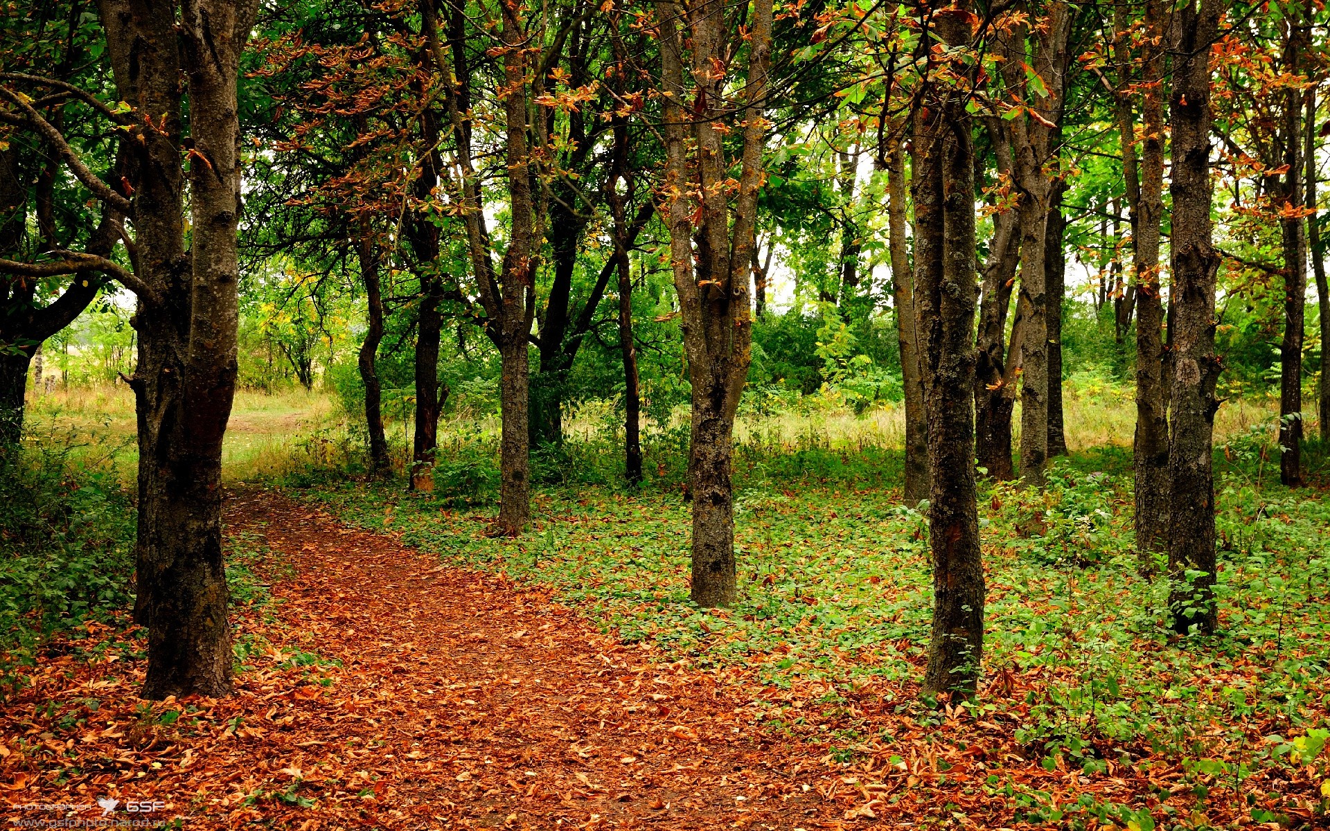爱游戏娱乐-当棋盘只剩最后一枚棋子，莫兰特如何用实力将国王之名刻在火箭残骸上