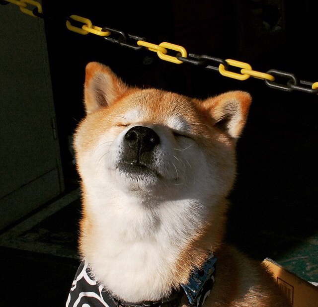 当曼城枪手鏖战伊蒂哈德,药厂已在巴黎缔造传说