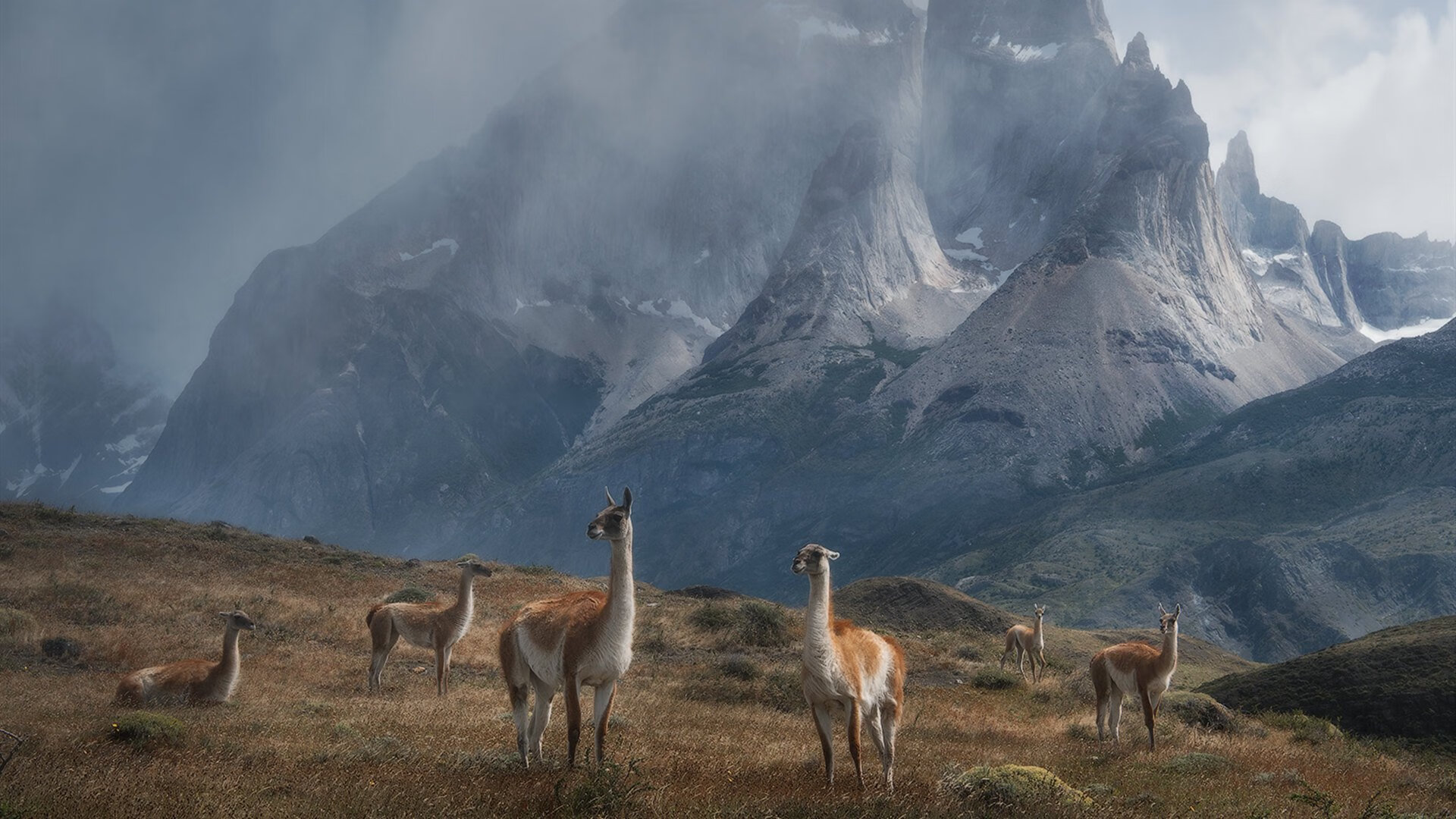东方魔法闪耀皮斯胡安，塞维利亚力克阿尔及利亚，李刚仁成为关键先生