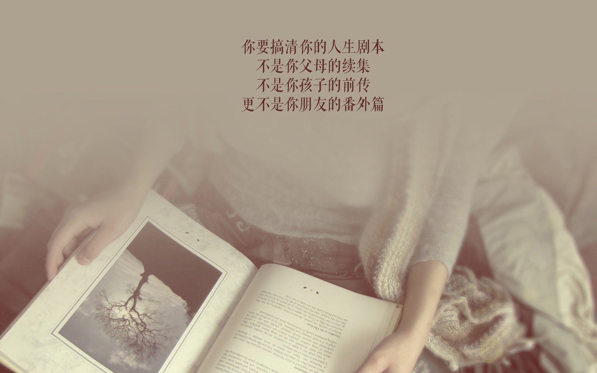 候选