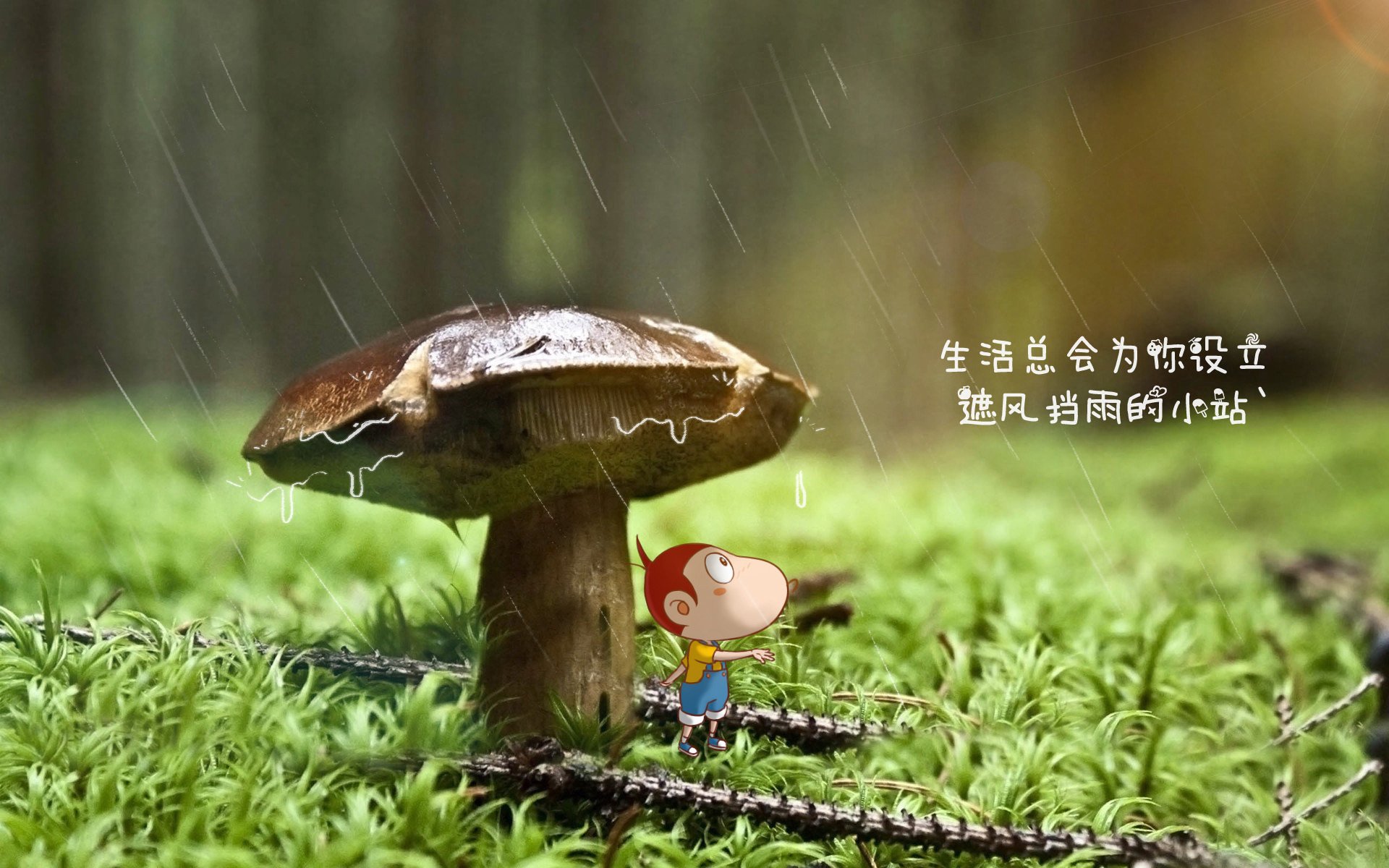 冰原烈火，阿方索·戴维斯引领芬兰在世界杯关键积分战中险胜加纳，控球统治力奠定胜利基石
