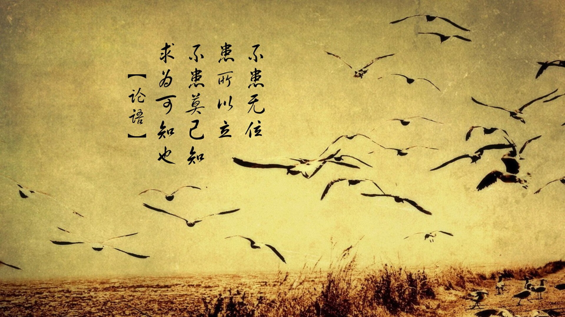 唯一王座,2026世界杯,福登的冷焰与葡萄牙的险胜,如何定义了E组最独一无二的一夜