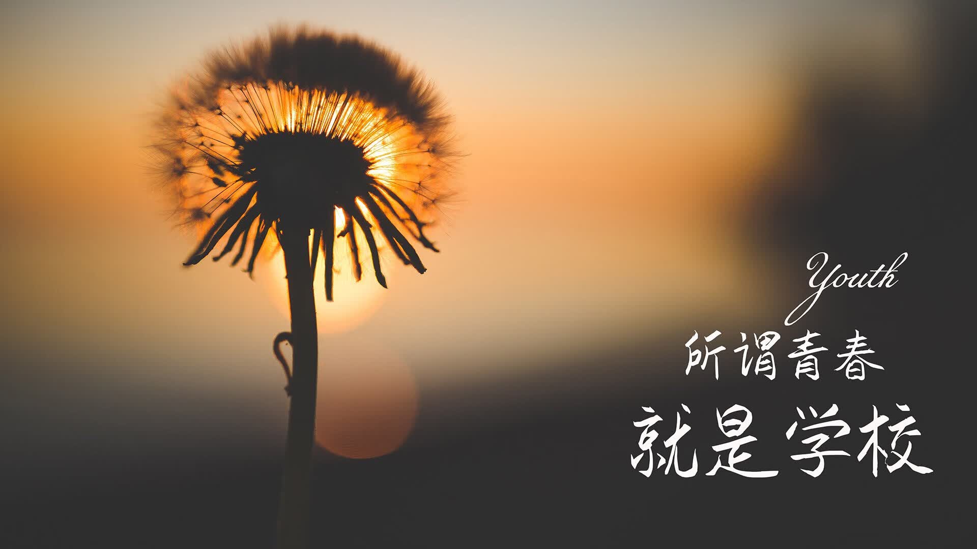沙漠与山鹰的较量,2026世界杯A组生死战,哥伦比亚力克摩洛哥,罗德里戈独舞成焦点