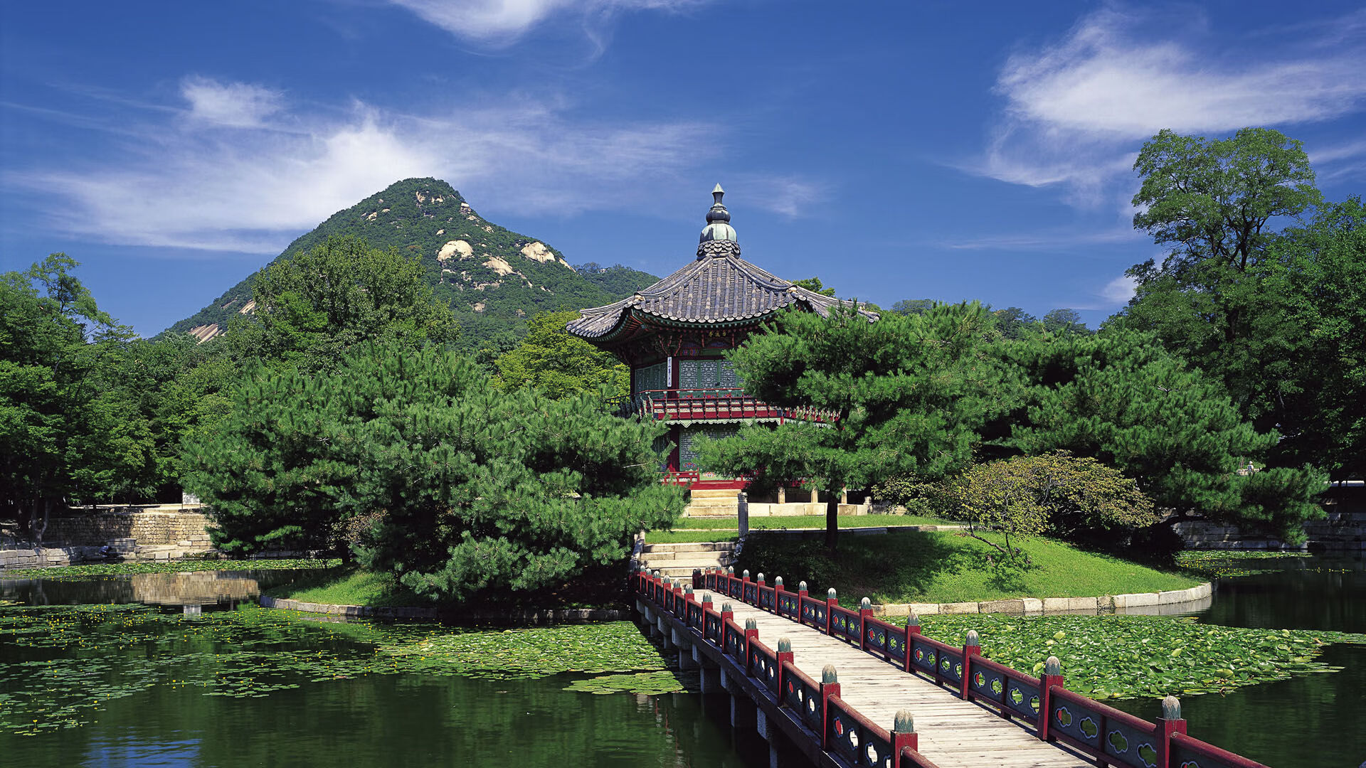 逆转之夜,当唯一在布达佩斯之夜写下不朽—2026世界杯C组匈牙利用铁血与天才逆转日本